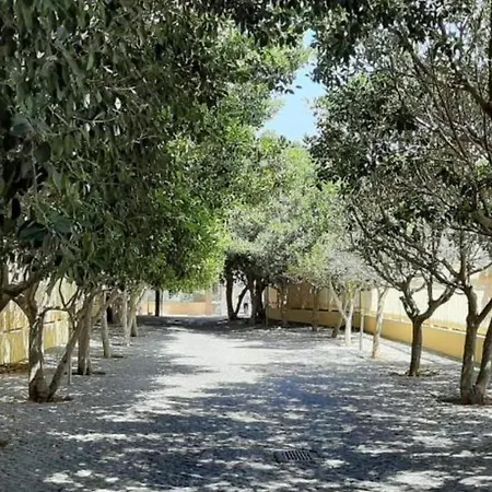 Lägenhet Beautiful 1-bed In Albufeira